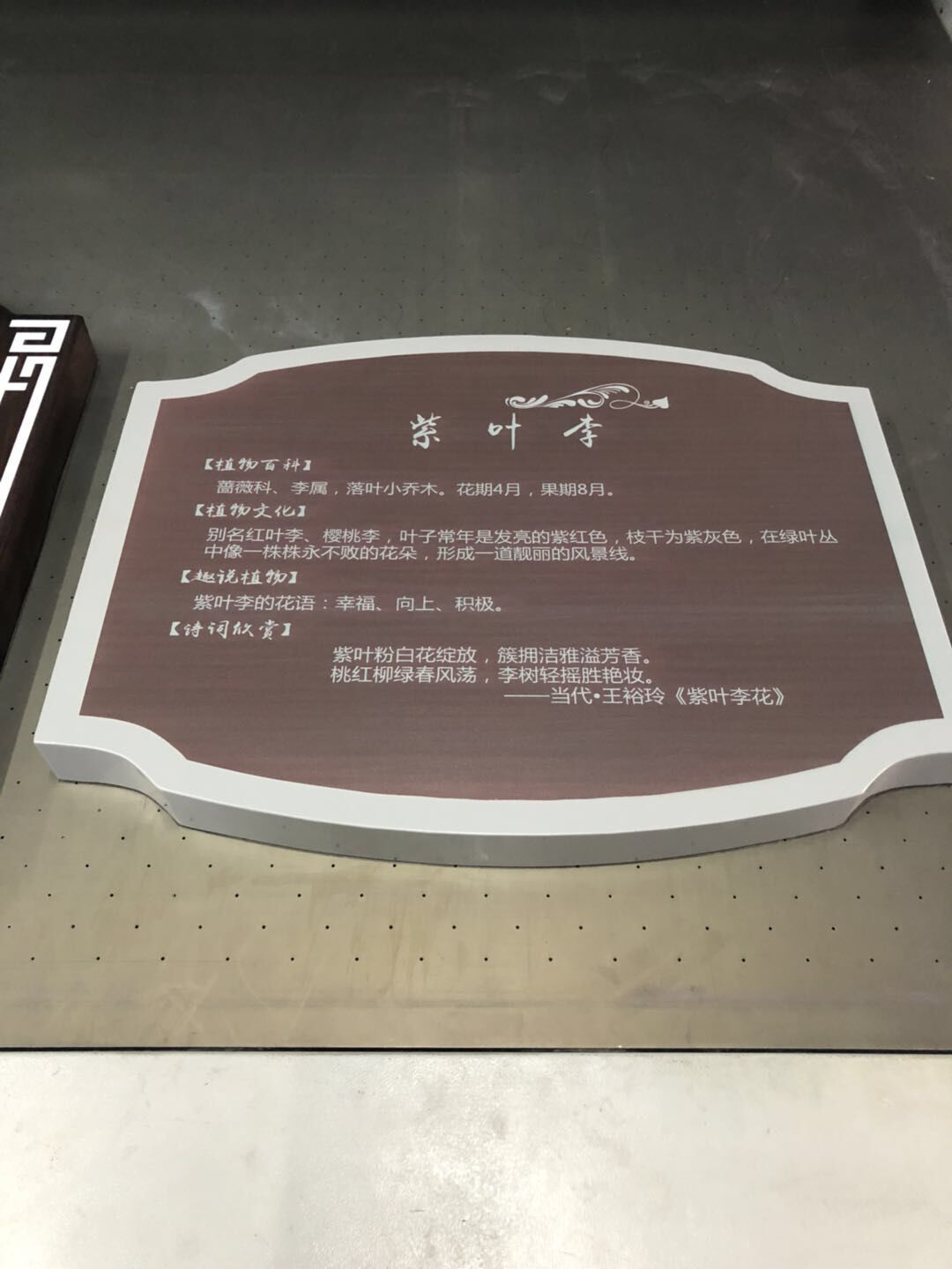 1527535276109370.jpg 1527535276109370.jpg