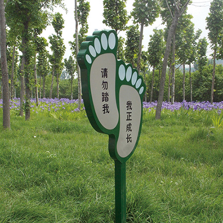 1543269230689642.jpg 10.jpg