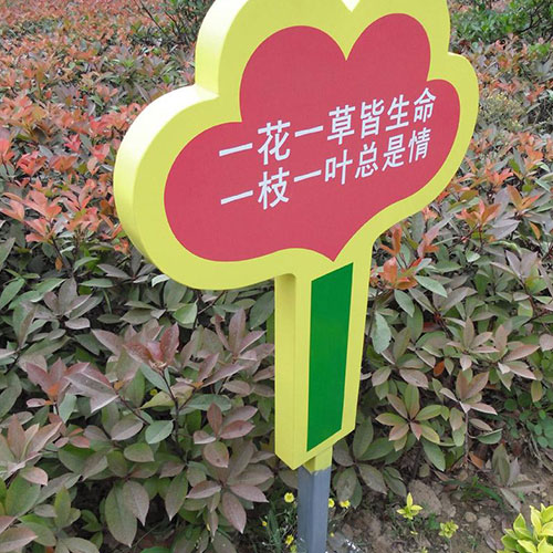 1591008033546955.jpg 5.jpg